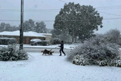 videofoto fenomen rar aparut in conditii meteo extreme cel mai gros strat de zapada din ultimele decenii in australia 688f5bfed5360