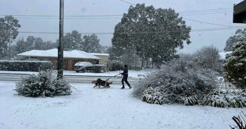 videofoto fenomen rar aparut in conditii meteo extreme cel mai gros strat de zapada din ultimele decenii in australia 688f5bfed5360