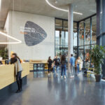 zalando lanseaza in romania un program de loialitate 68a4312bba6da