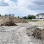 administratia locala obligata prin hotarare judecatoreasca sa salubrizeze o strada din compozitori si sa toaleteze copacii in urma reclamatiilor unor locuitori 68b4cf9aa3f08