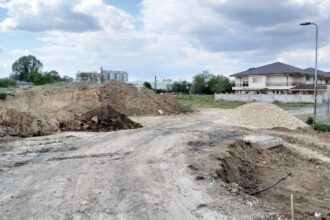 administratia locala obligata prin hotarare judecatoreasca sa salubrizeze o strada din compozitori si sa toaleteze copacii in urma reclamatiilor unor locuitori 68b4cf9aa3f08
