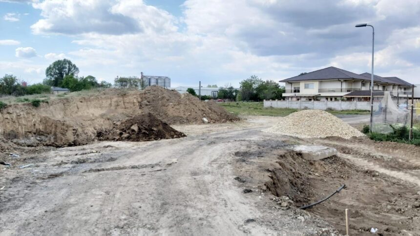 administratia locala obligata prin hotarare judecatoreasca sa salubrizeze o strada din compozitori si sa toaleteze copacii in urma reclamatiilor unor locuitori 68b4cf9aa3f08