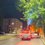 administratia locala obligata sa reia licitatia de 73 de milioane de lei pentru dezinsectie si deratizare 68b7947173604