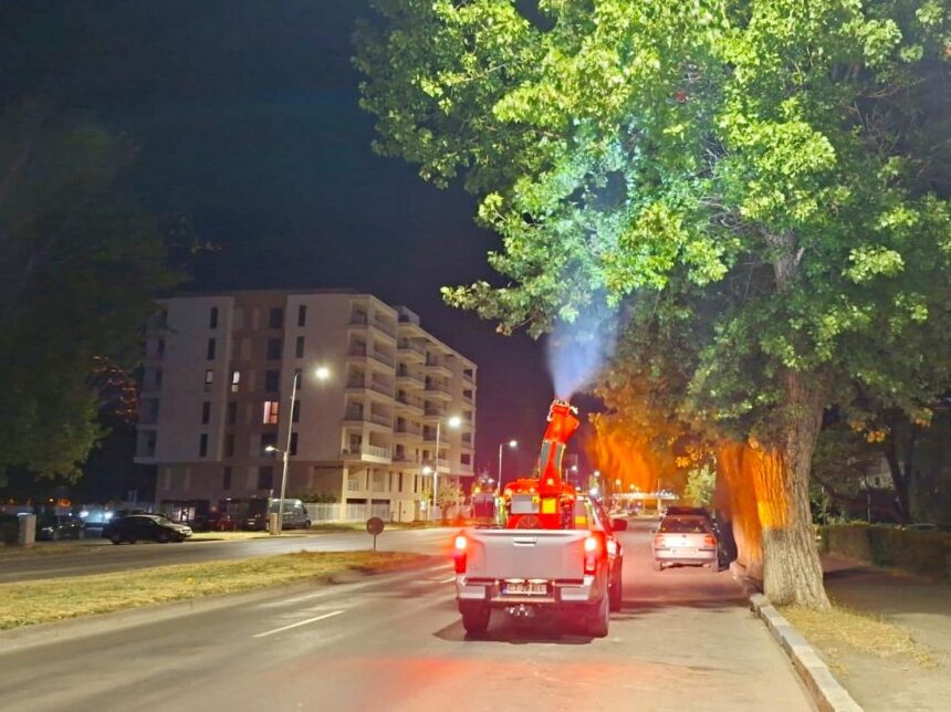 administratia locala obligata sa reia licitatia de 73 de milioane de lei pentru dezinsectie si deratizare 68b7947173604