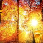 astazi vremea va fi frumoasa in dobrogea dar maine se va raci si va ploua pe arii extinse 68c9118a07448