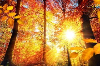 astazi vremea va fi frumoasa in dobrogea dar maine se va raci si va ploua pe arii extinse 68c9118a07448