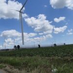 constanta proiectul parcului eolian de la amzacea avizat fara evaluarea impactului asupra mediului vezi cine este investitorul 68c2fc0986d26