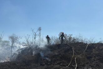 foto arde vegetatia uscata in murighiol judetul tulcea mai multe locuinte sunt in pericol 68b5986257080