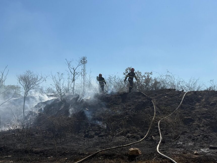 foto arde vegetatia uscata in murighiol judetul tulcea mai multe locuinte sunt in pericol 68b5986257080