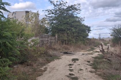 foto gunoaie si vegetatie salbatica langa blocuri aleea scafandrilor din constanta transformata intr un focar de mizerie 68d6084d10239