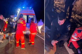 foto jandarmii au acordat primul ajutor victimelor accidentului de pe dn 22 din zona palazu mic 68d9935528e37