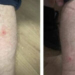 foto politisti muscati de plosnite in sediile politiei capitalei zece persoane au ajuns la urgenta ce masuri cere sindicatul europol 68b880057809e