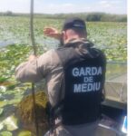 garda nationala de mediu peste 15 km de plase ilegale confiscate in delta dunarii 68bd18239f9a7
