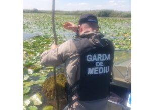 garda nationala de mediu peste 15 km de plase ilegale confiscate in delta dunarii 68bd18239f9a7