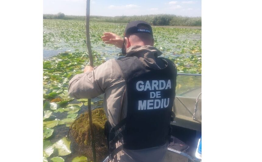 garda nationala de mediu peste 15 km de plase ilegale confiscate in delta dunarii 68bd18239f9a7