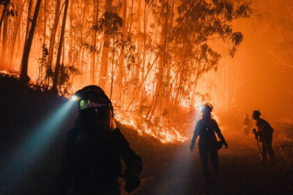 hatisul si padurile invadeaza satele cum contribuie abandonarea zonelor rurale la producerea incendiilor devastatoare din europa 68b6b3264002f