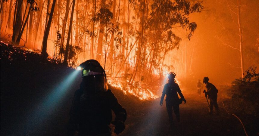 hatisul si padurile invadeaza satele cum contribuie abandonarea zonelor rurale la producerea incendiilor devastatoare din europa 68b6b3264002f