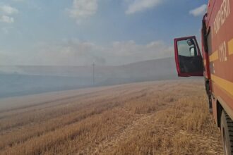 incendii de vegetatie uscata in agighiol si zona topolca sireasa din judetul tulcea 68c26f577c863