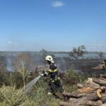 incendiu de vegetatie uscata cu posibilitate de propagare la mai multe locuinte in murighiol 68b5b80675596