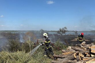 incendiu de vegetatie uscata cu posibilitate de propagare la mai multe locuinte in murighiol 68b5b80675596