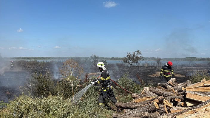 incendiu de vegetatie uscata cu posibilitate de propagare la mai multe locuinte in murighiol 68b5b80675596