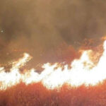 incendiu puternic de vegetatie in apropiere de ploiesti 80 de hectare au fost mistuite zeci de pompieri mobilizati 68bd0487a7a3e