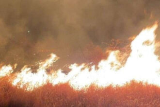 incendiu puternic de vegetatie in apropiere de ploiesti 80 de hectare au fost mistuite zeci de pompieri mobilizati 68bd0487a7a3e