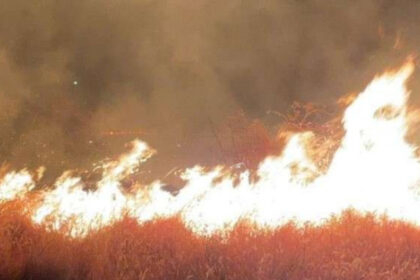 incendiu puternic de vegetatie in apropiere de ploiesti 80 de hectare au fost mistuite zeci de pompieri mobilizati 68bd0487a7a3e