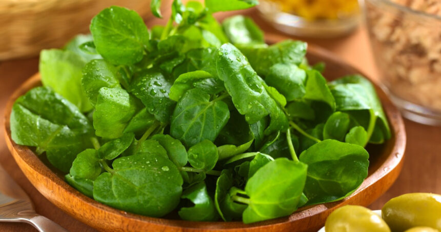 ingredientul minune din salata bogat in vitamina k protejeaza inima si ajuta la slabit 68d7636bcaa65
