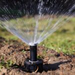 judetul constanta organizatia utilizatorilor de apa pentru irigatii siriu spp9 face demersuri pentru reabilitarea si modernizarea retelei 68c2f16c2d5df