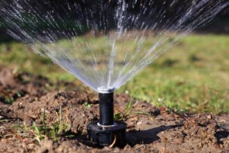 judetul constanta organizatia utilizatorilor de apa pentru irigatii siriu spp9 face demersuri pentru reabilitarea si modernizarea retelei 68c2f16c2d5df