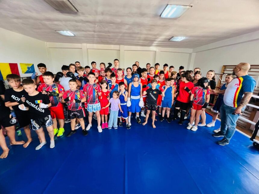 lotul de box al judetului constanta format in moderna sala de la cernavoda 68beded4b315a