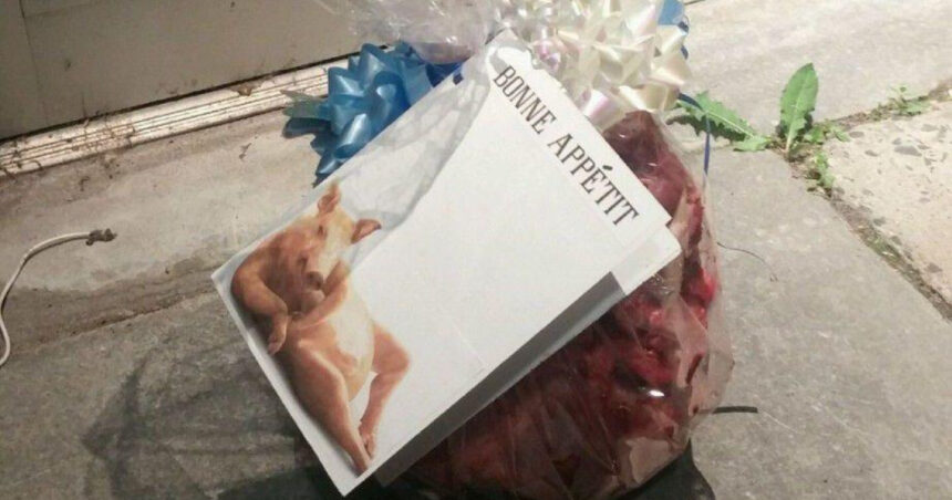 mai multe capete de porc au fost descoperite in fata unor moschei din paris autoritatile condamna actele abjecte 68c01ff03891d