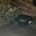 masina unchiului simonei halep distrusa dupa ce un copac s a prabusit peste ea 68c7cafae6cd8