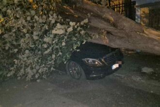 masina unchiului simonei halep distrusa dupa ce un copac s a prabusit peste ea 68c7cafae6cd8