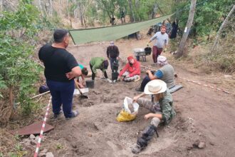 muzeul de istorie constanta continua sapaturile la cetatea romano bizantina sucidava moesica ziduri antice si artefacte descoperite de cercetatori 68cfef515a978