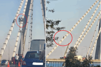 oficial de la ijp constanta despre incidentul de pe podul de la agigea barbatul cu antecedente similare a coborat in siguranta 68bea18e9d8ea