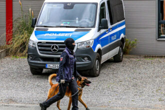 perchezitii in germania la o grupare de extrema dreapta s au gasit arme munitie bani lichizi si materiale cu potential exploziv 68c99c4fa982a