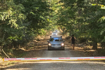 polemica privind soseaua care taie padurea baneasa avem nevoie de acces sunt si alte cartiere si nu vor drum prin herastrau 68bafc7a72de7