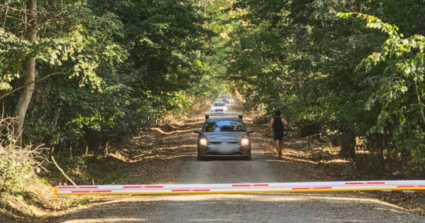 polemica privind soseaua care taie padurea baneasa avem nevoie de acces sunt si alte cartiere si nu vor drum prin herastrau 68bafc7a72de7