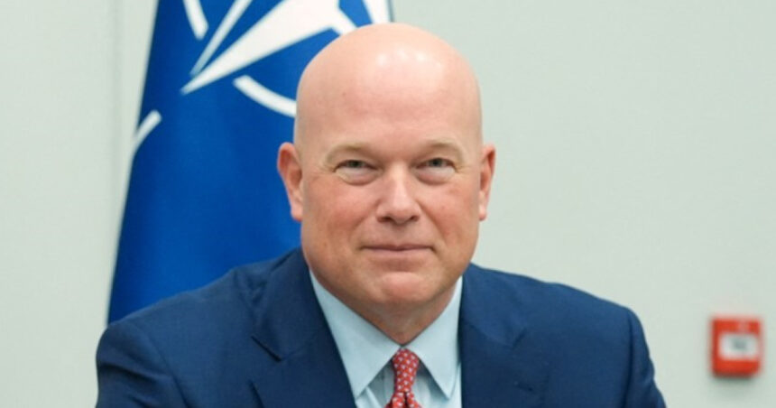 reactia ambasadorului sua la nato in cazul dronelor rusesti doborate de polonia 68c19bbb6dfe0