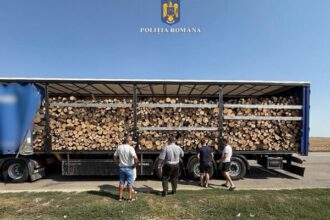 soferul unui tir incarcat cu material lemnos depistat in trafic cu mai multe nereguli 68b9a76b3d666