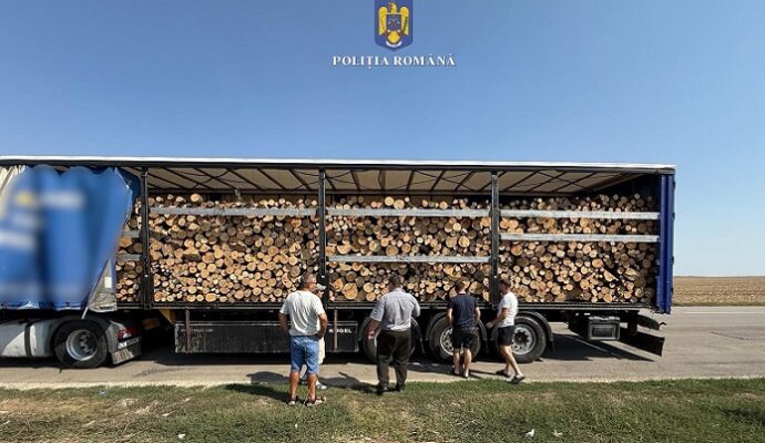soferul unui tir incarcat cu material lemnos depistat in trafic cu mai multe nereguli 68b9a76b3d666