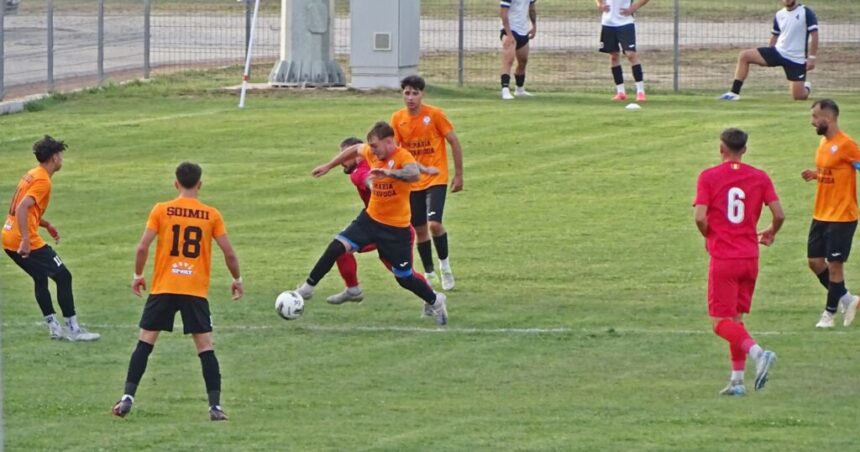 soimii din cernavoda joaca vineri in fieful liderului seriei a 3 a din liga a 3 a 68c3207fe52bf