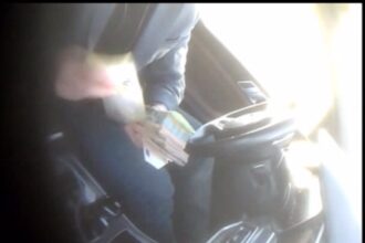 spaga de 25 000 de lei la tulcea fostul sef al garzii de mediu nu se impaca cu pedeapsa 68d9ba6421561