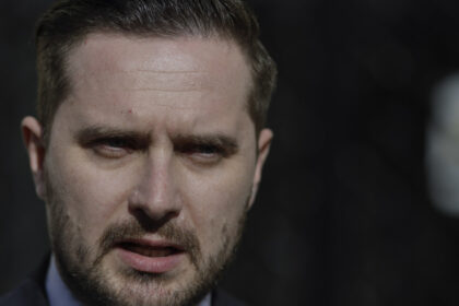 stelian bujduveanu vrea reorganizarea primariei capitalei e necesara sunt si angajati care taie frunze la caini 68ced42c7a7dc