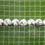 suspendati dupa ce au folosit documente falsificate pentru a juca in calificarile pentru cupa asiei fifa masuri drastice 68d6ce4d8e3c6
