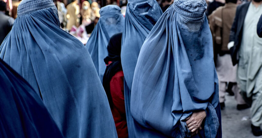 talibanii interzic cartile scrise de femei iar 18 discipline sunt declarate in conflict cu sharia in universitatile afgane 68ccfa9fc8385