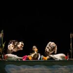 teatrul calutul de mare ii asteapta pe copii cu una dintre cele mai frumoase si sensibile povesti ratusca cea urata vezi aici cand poate fi vizionata piesa 68d6a68427d19
