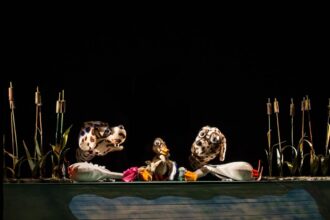 teatrul calutul de mare ii asteapta pe copii cu una dintre cele mai frumoase si sensibile povesti ratusca cea urata vezi aici cand poate fi vizionata piesa 68d6a68427d19